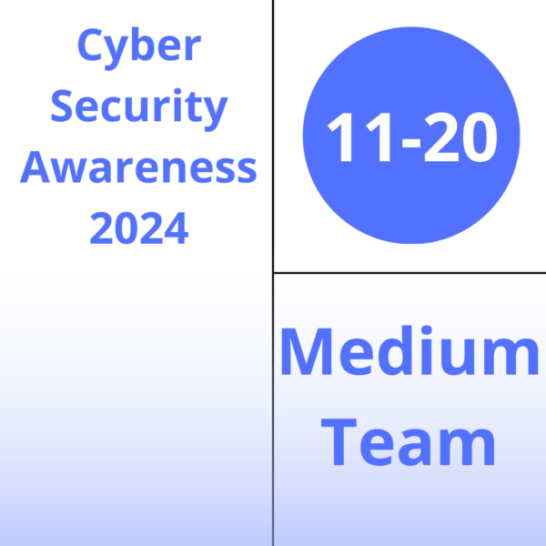 Cyber Security Awareness training 2024 medium team